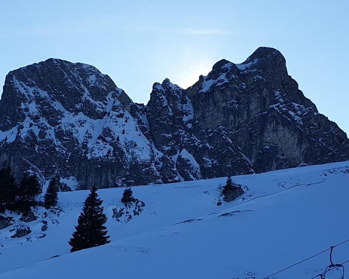 Hochalphütte